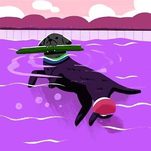 Meet your Posher, Tracy